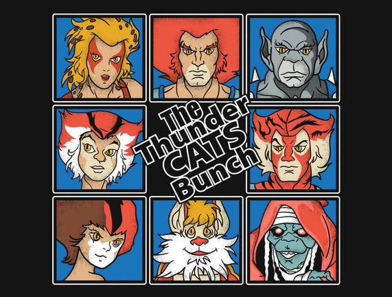 Thundercats Bunch