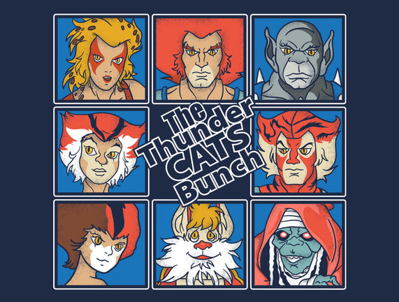 Thundercats Bunch