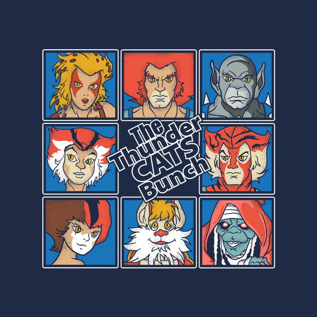 Thundercats Bunch-Mens-Premium-Tee-turborat14