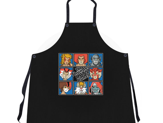 Thundercats Bunch