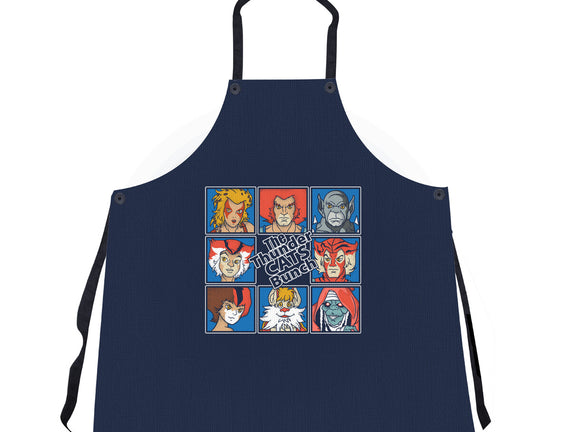 Thundercats Bunch