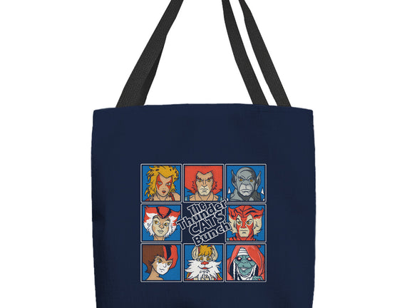 Thundercats Bunch