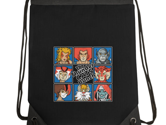 Thundercats Bunch