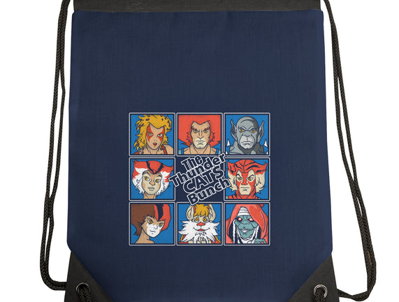Thundercats Bunch