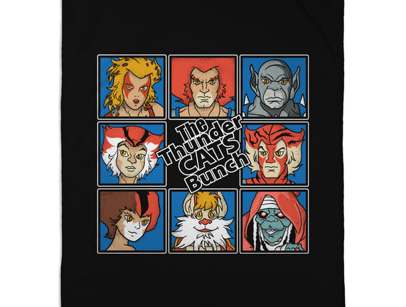 Thundercats Bunch