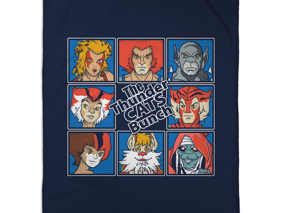 Thundercats Bunch