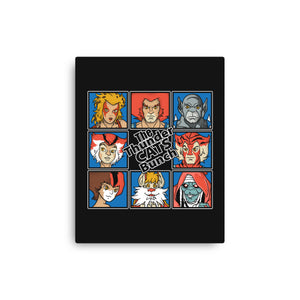 Thundercats Bunch