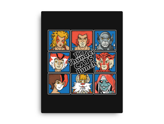 Thundercats Bunch