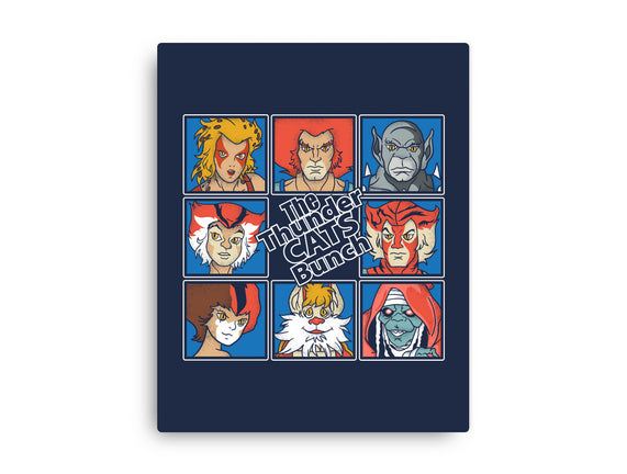 Thundercats Bunch
