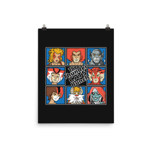 Thundercats Bunch