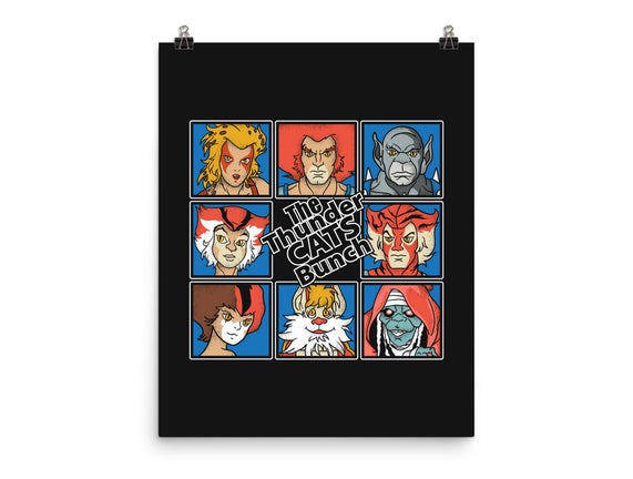 Thundercats Bunch