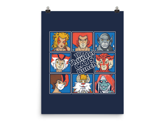 Thundercats Bunch