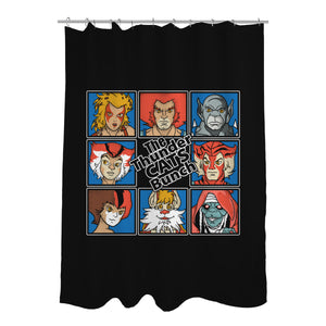 Thundercats Bunch
