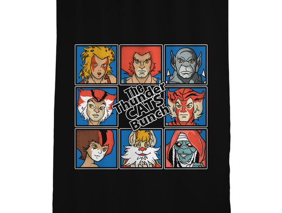 Thundercats Bunch