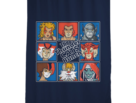Thundercats Bunch