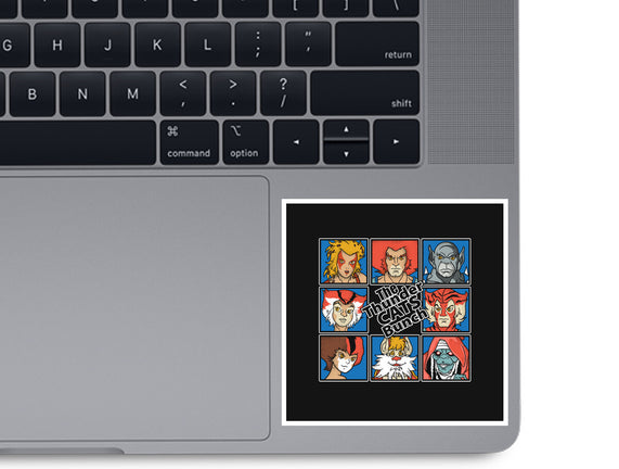 Thundercats Bunch