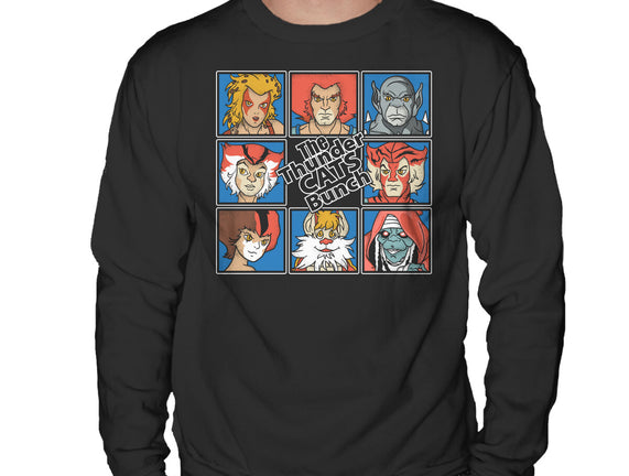 Thundercats Bunch