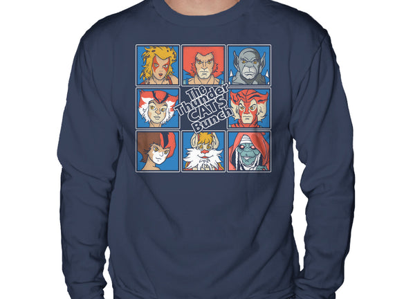 Thundercats Bunch