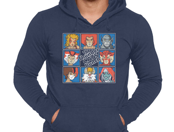 Thundercats Bunch
