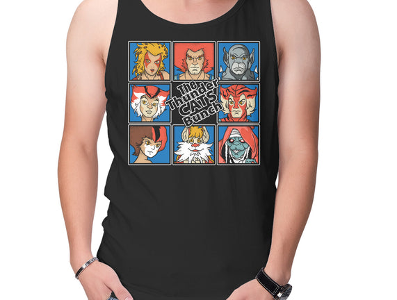 Thundercats Bunch