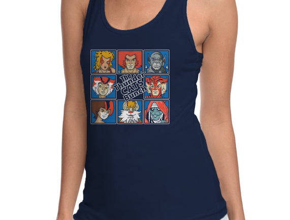 Thundercats Bunch