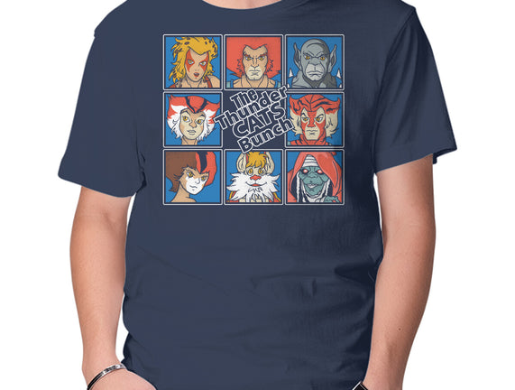 Thundercats Bunch