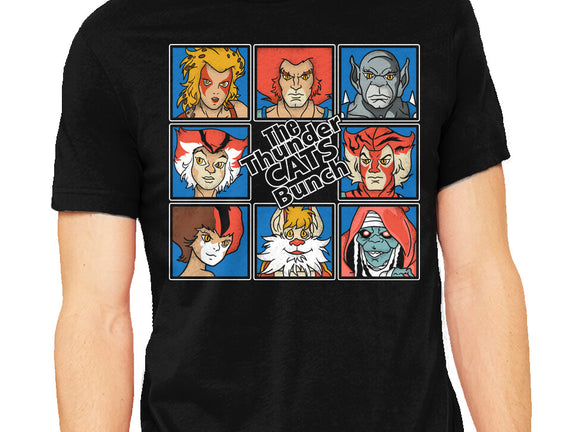 Thundercats Bunch