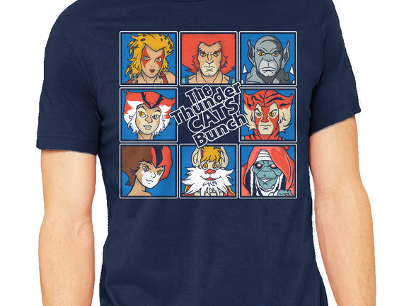 Thundercats Bunch