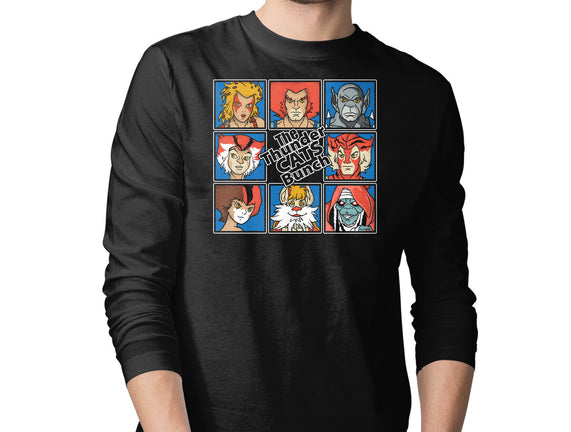 Thundercats Bunch