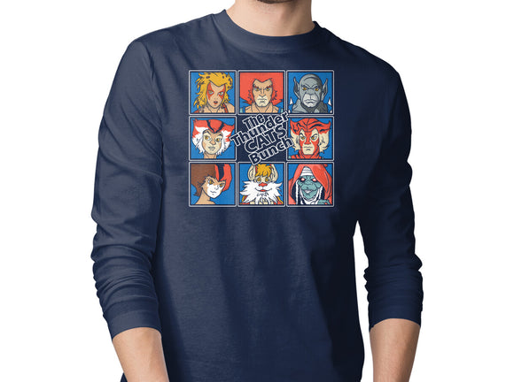 Thundercats Bunch