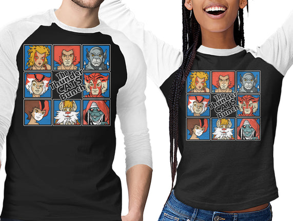 Thundercats Bunch