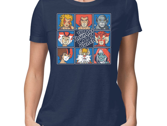 Thundercats Bunch