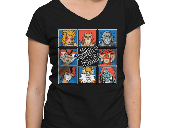 Thundercats Bunch