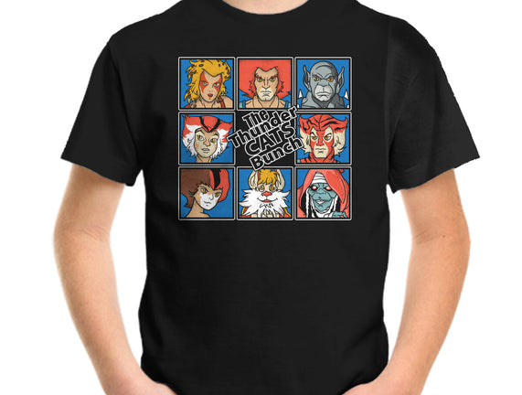 Thundercats Bunch