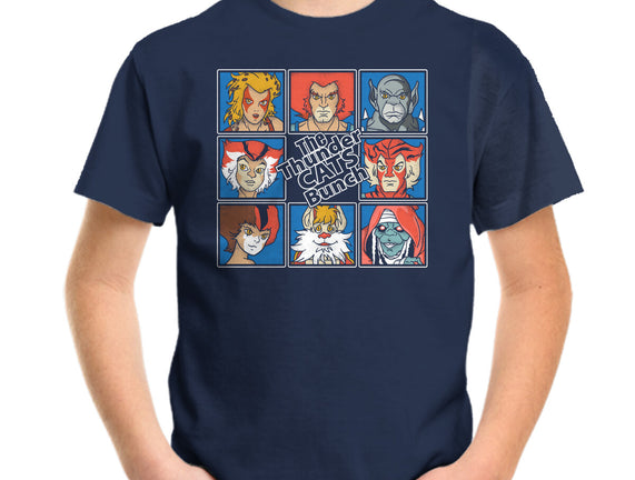 Thundercats Bunch