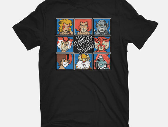 Thundercats Bunch