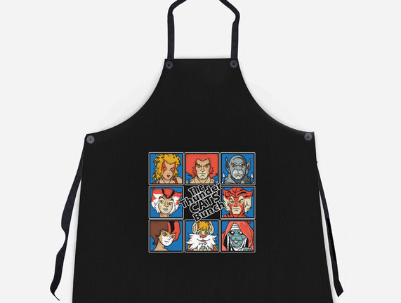 Thundercats Bunch
