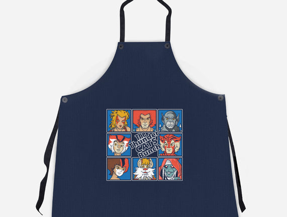 Thundercats Bunch