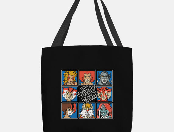 Thundercats Bunch