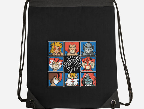 Thundercats Bunch