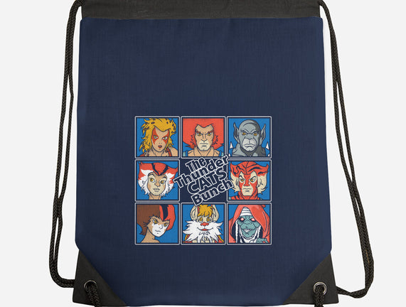 Thundercats Bunch