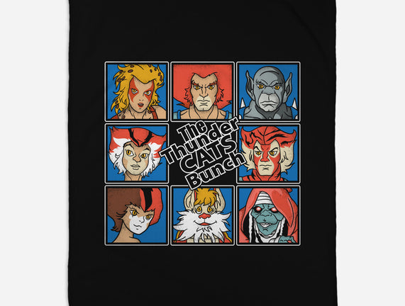 Thundercats Bunch