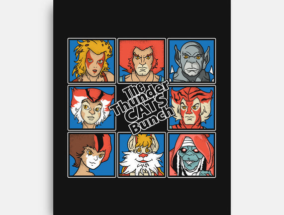 Thundercats Bunch