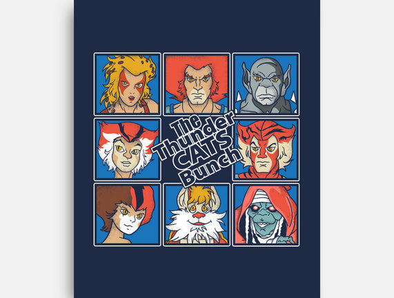Thundercats Bunch
