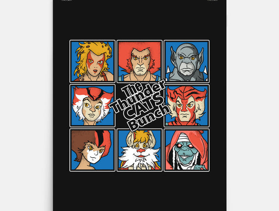 Thundercats Bunch