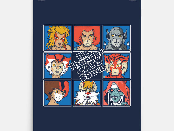 Thundercats Bunch