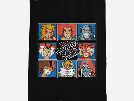 Thundercats Bunch