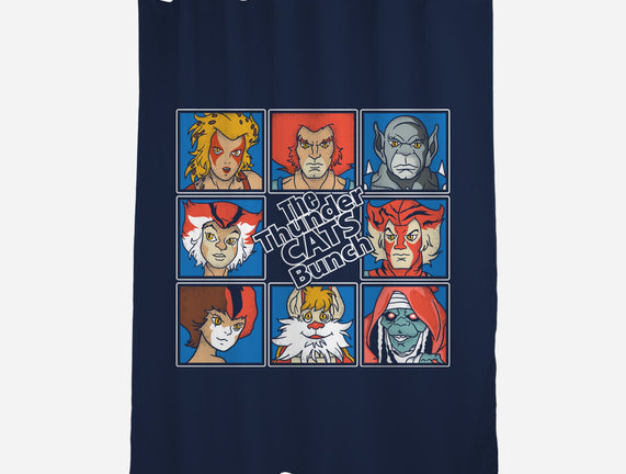 Thundercats Bunch