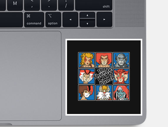 Thundercats Bunch