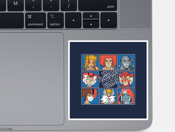 Thundercats Bunch